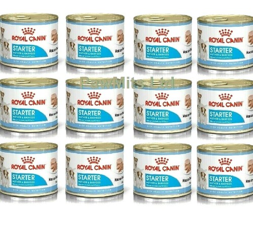 Starter mousse - starter, x