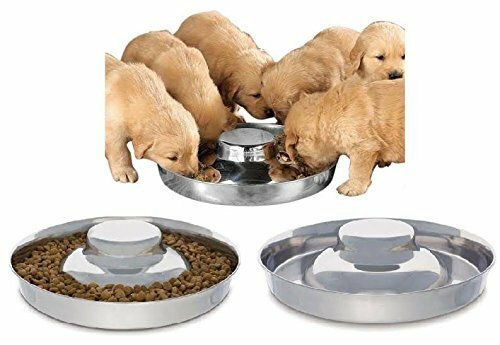 Weaning food feeding saucer - weaning,
