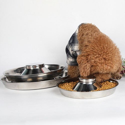 Pet slow feeder bowl cat - feeder, dog