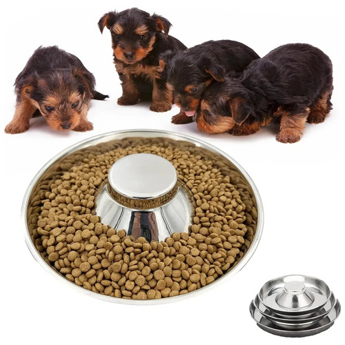 Puppy dog pet cat litter - dog,